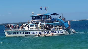 Beach nearby, sun-loungers, beach towels