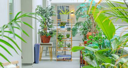 inspire hollywood • king • pool • freepark