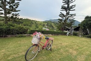 Una bicicleta con una cesta en un área cubierta de césped, con árboles y una montaña al fondo.