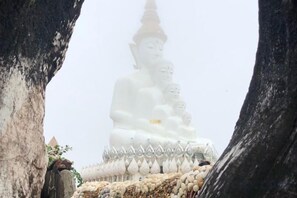 รูปภาพที่ไม่ได้จัดประเภท, 5 จาก 27, ปุ่ม