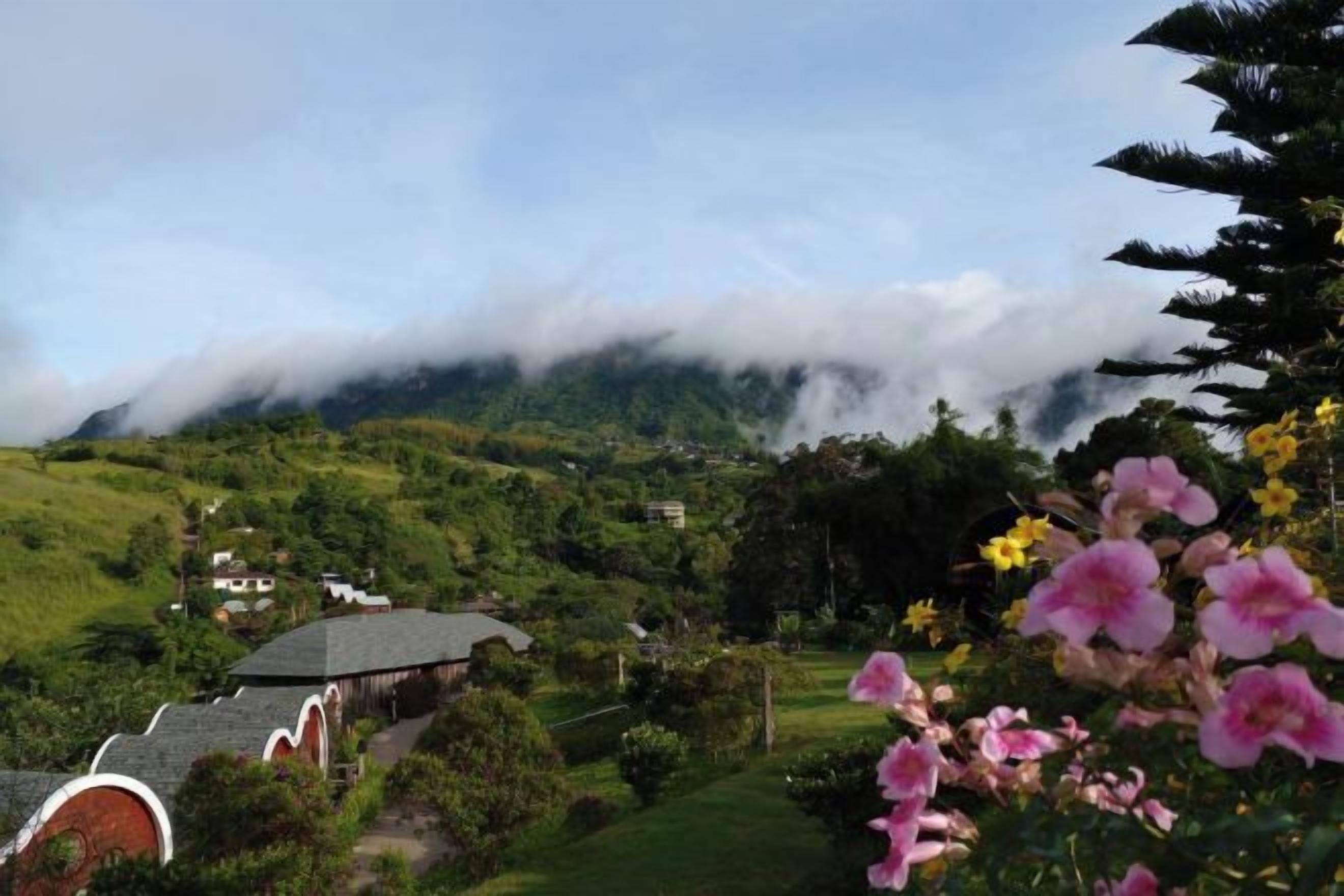 A rural landscape with a house, greenery, and a mountain in the background.