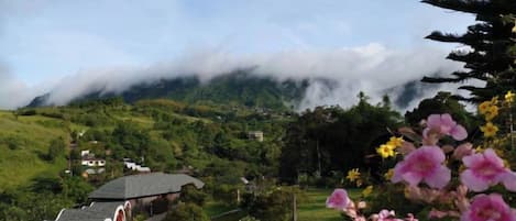 Un paisaje rural con una casa, vegetación y una montaña al fondo.