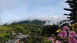 A rural landscape with a house surrounded by greenery and a mountain in the background.