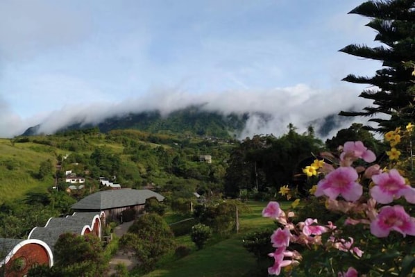 Exterior - Kiri Pura Resort Khao Kho (Khao Kho)
