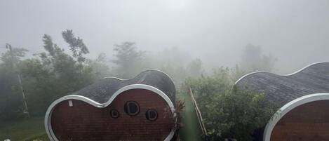 Two unique, curved-roofed structures in a foggy outdoor setting.