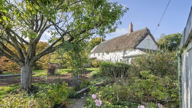 Une maison blanche avec un toit de chaume, entourée d’un jardin où poussent différentes plantes et fleurs.