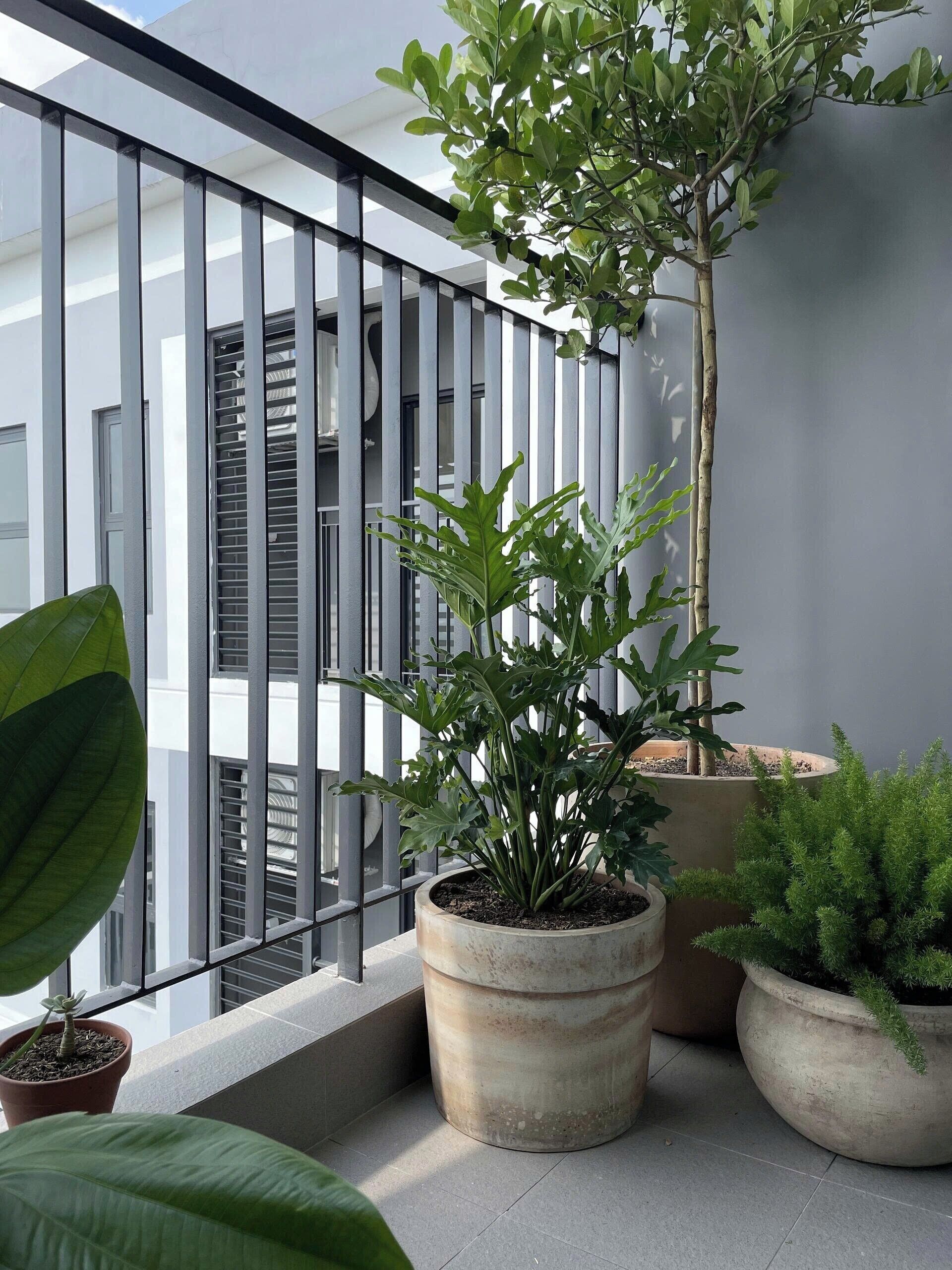 Áreas de la propiedad