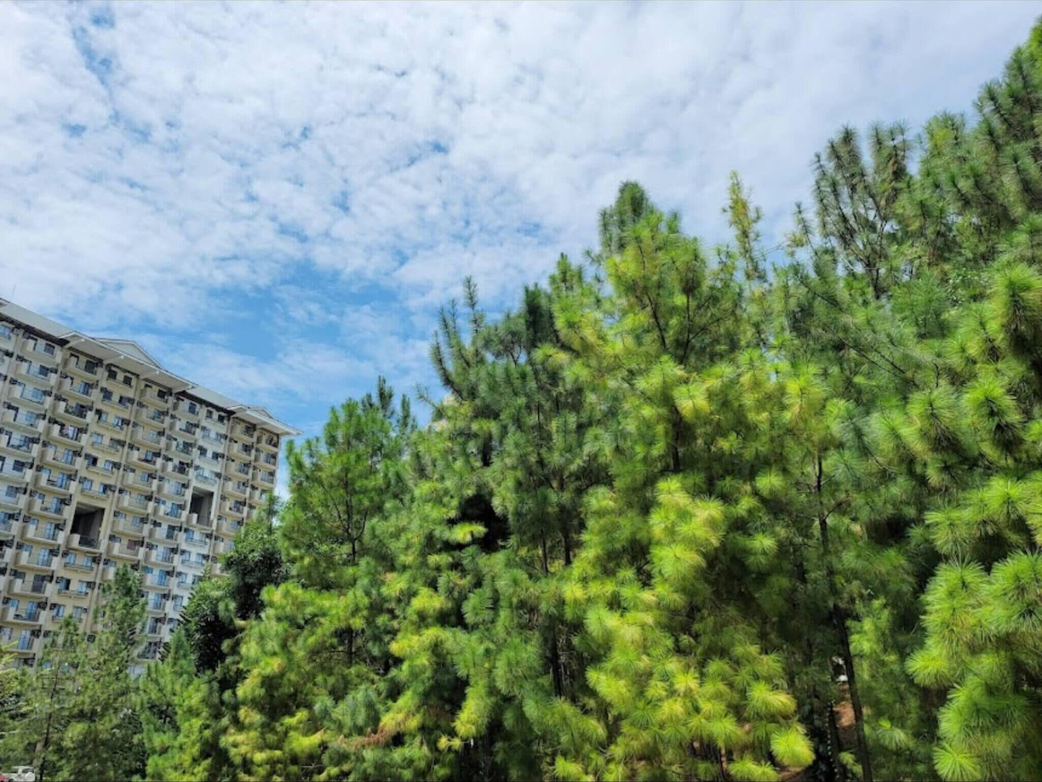 Apartment, 1 Bedroom, Accessible, Smoking | Miscellaneous