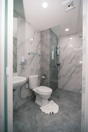 Hair dryer, towels, soap, shampoo