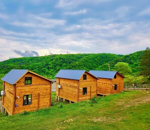 Three wooden cabins with metal roofs, set in a grassy area with a forested hill in the background.