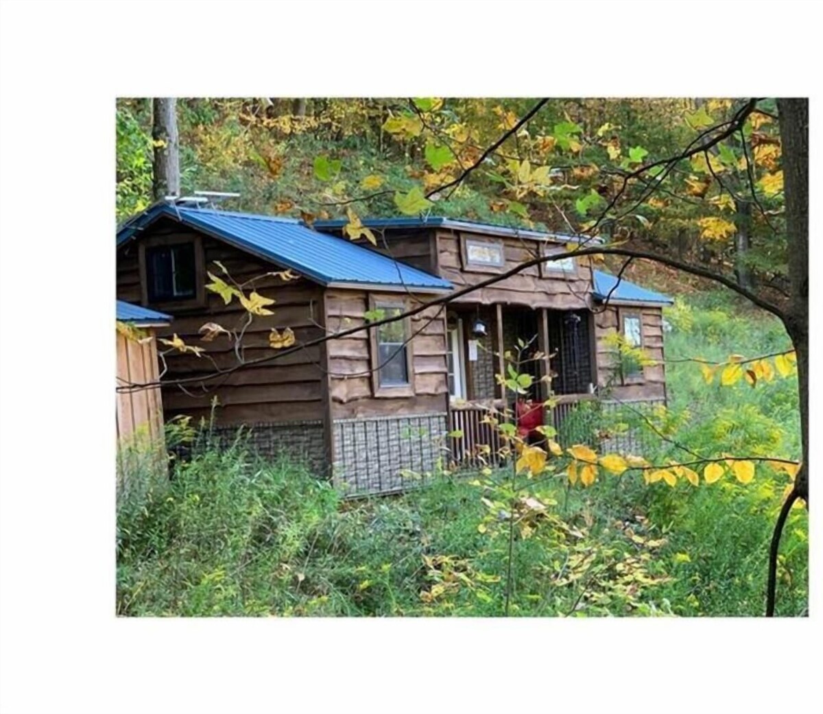 Værtens profilbillede