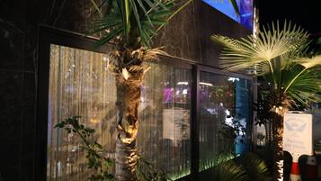 Mittagessen und Abendessen, Blick auf den Pool