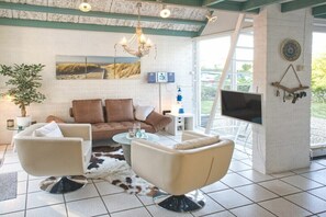 智能电视、壁炉、DVD 播放器、书