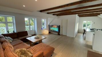 Fernseher, Stereoanlage