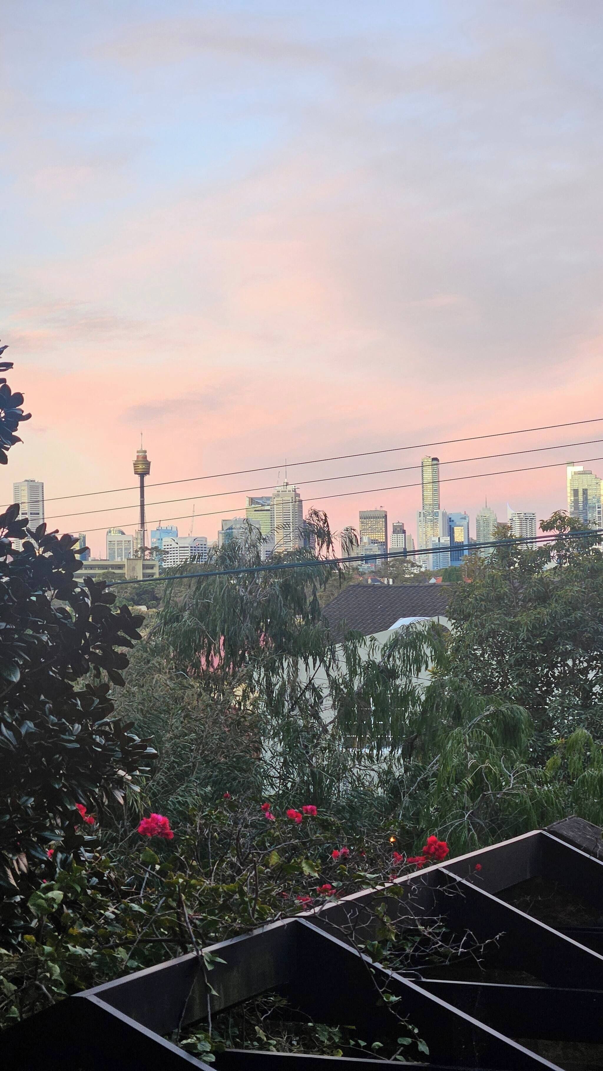 Vue depuis l’hébergement