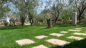 Un jardin avec un sentier en pierre et des arbres.