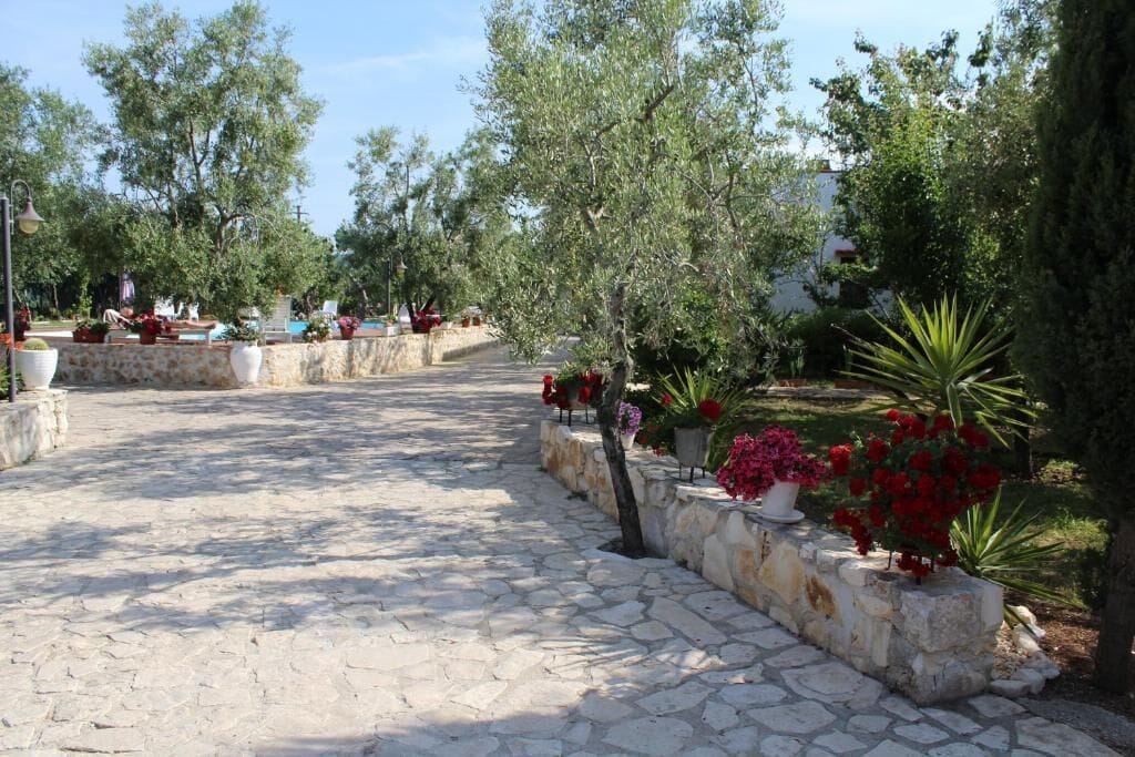 A paved pathway lined with potted plants and trees, leading towards a building.