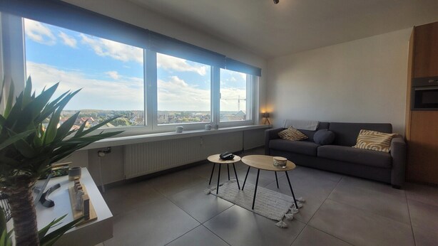 En moderne stue med et stort vindue, en grå sofa, et lille sofabord og en radiator.