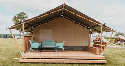 Safari tent for 6 people