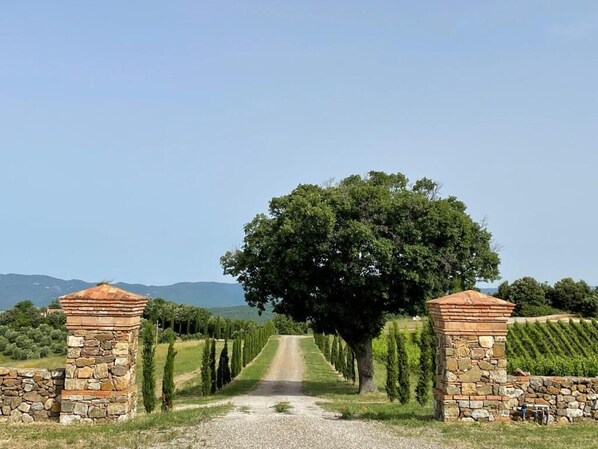 المنشأة من الخارج