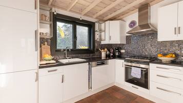 Kühlschrank, Ofen, Herdplatte, Geschirrspüler