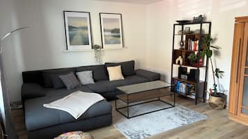 Un salon moderne avec un canapé gris, une table basse, une bibliothèque et une plante en pot.