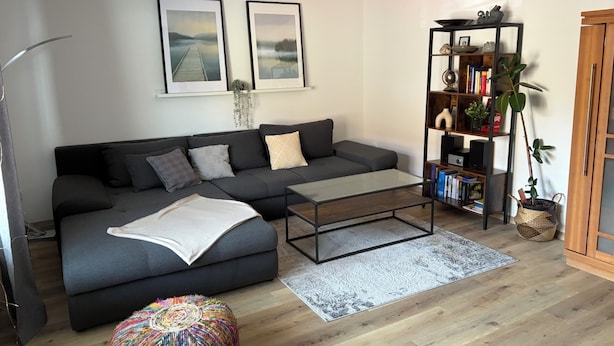 A modern living room with a grey sofa, a coffee table, a bookshelf, and a potted plant.