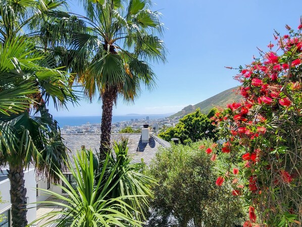 Exterior - The White Camel Villa (Cape Town)