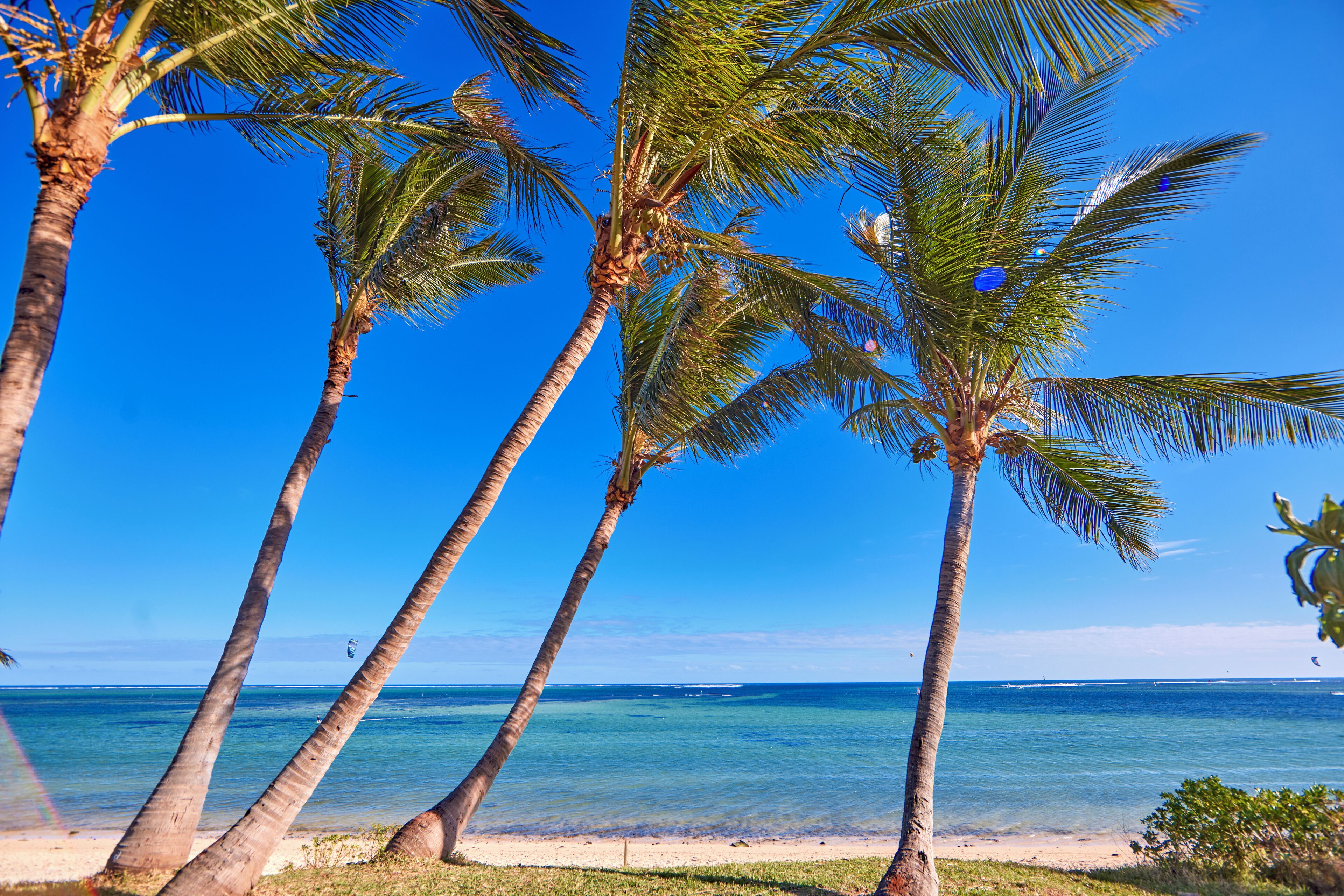 Am Strand, Liegestühle, Sonnenschirme, Strandtücher
