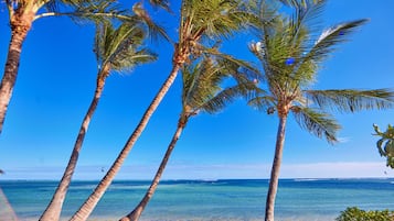 On the beach, sun-loungers, beach umbrellas, beach towels