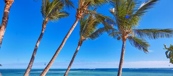 Hotel Riu Palace Phuket - All Inclusive