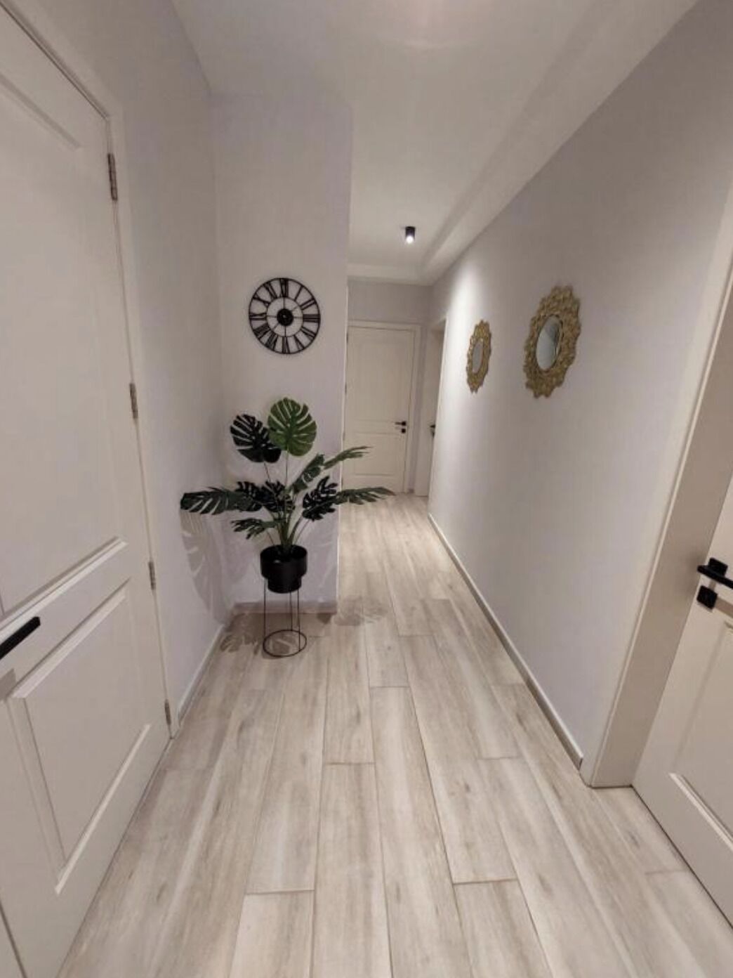 A hallway with light wooden flooring, white walls, and a potted plant.