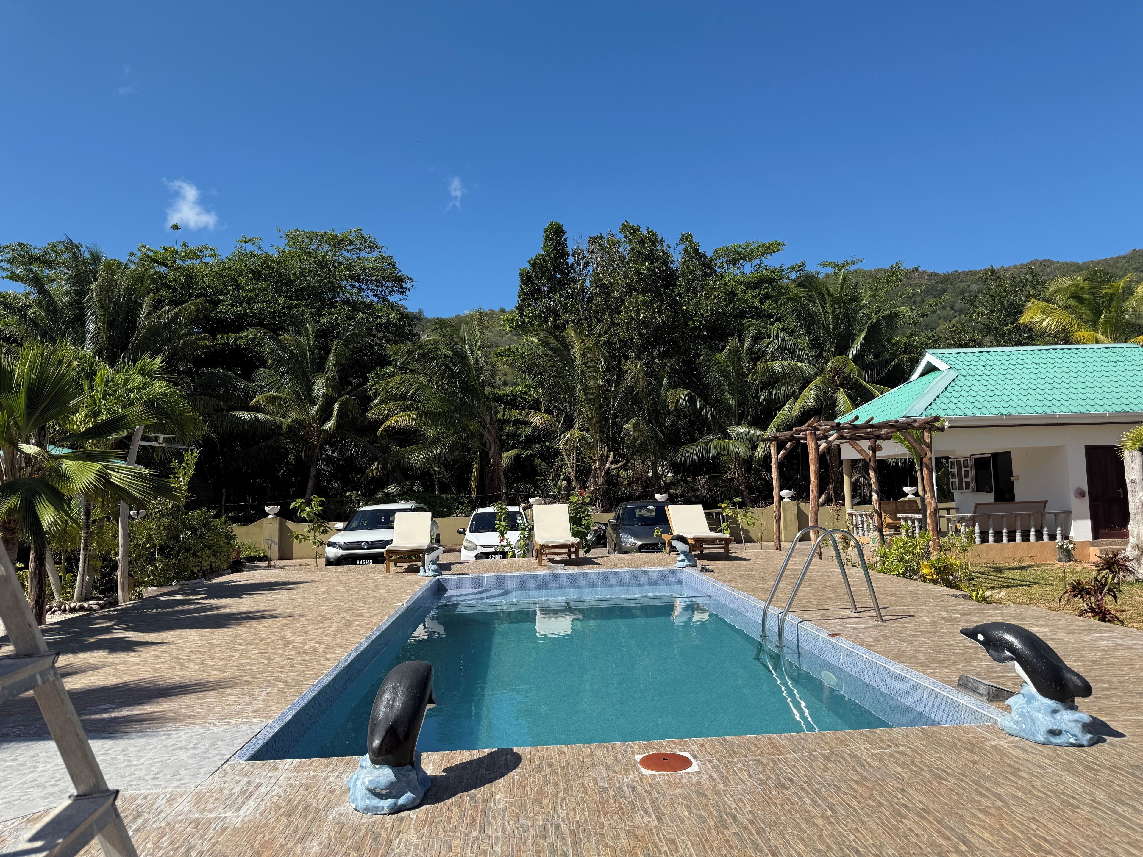 Una piscina al aire libre, sombrillas, sillones reclinables de piscina