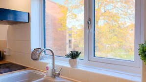 Eine Küche mit doppelter Spüle, einem Fenster mit Blick auf Bäume und einem kleinen Blumentopf auf der Fensterbank.