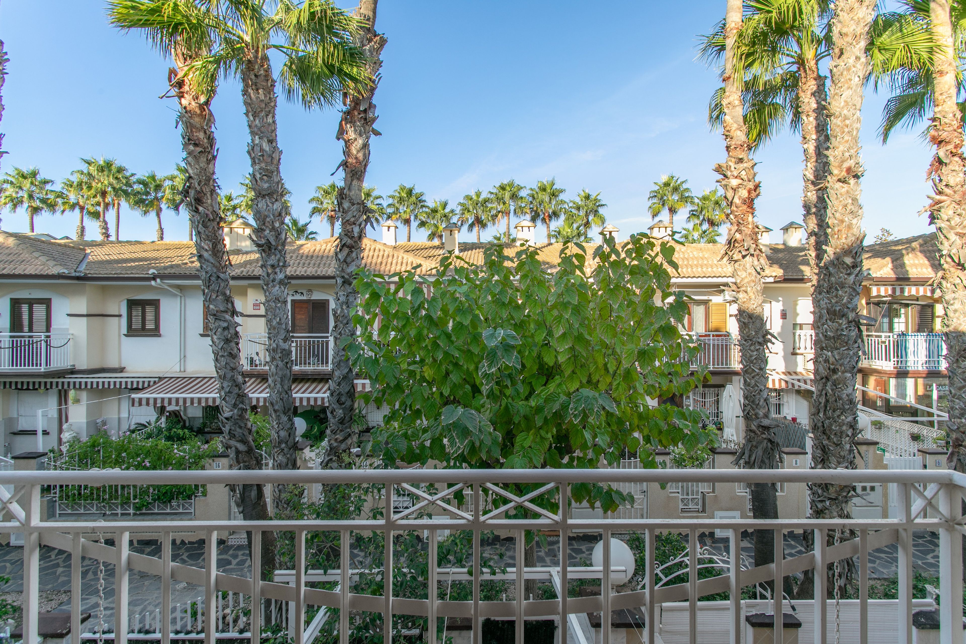 A hotel with multiple-story buildings, palm trees, and a balcony with a railing.