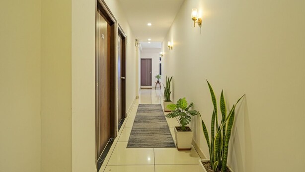 Un couloir avec une porte en bois, un tapis gris et des plantes en pot.