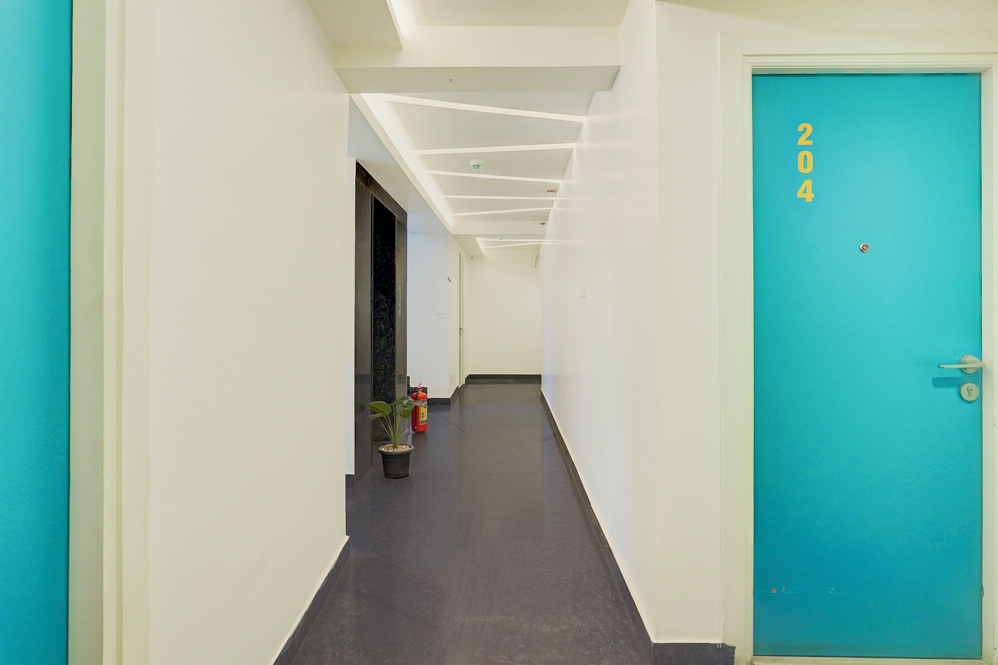 A hallway with a blue door marked "204", a fire extinguisher, and a potted plant.