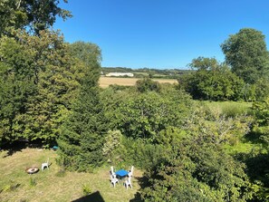 المنطقة المحيطة بالمنشأة