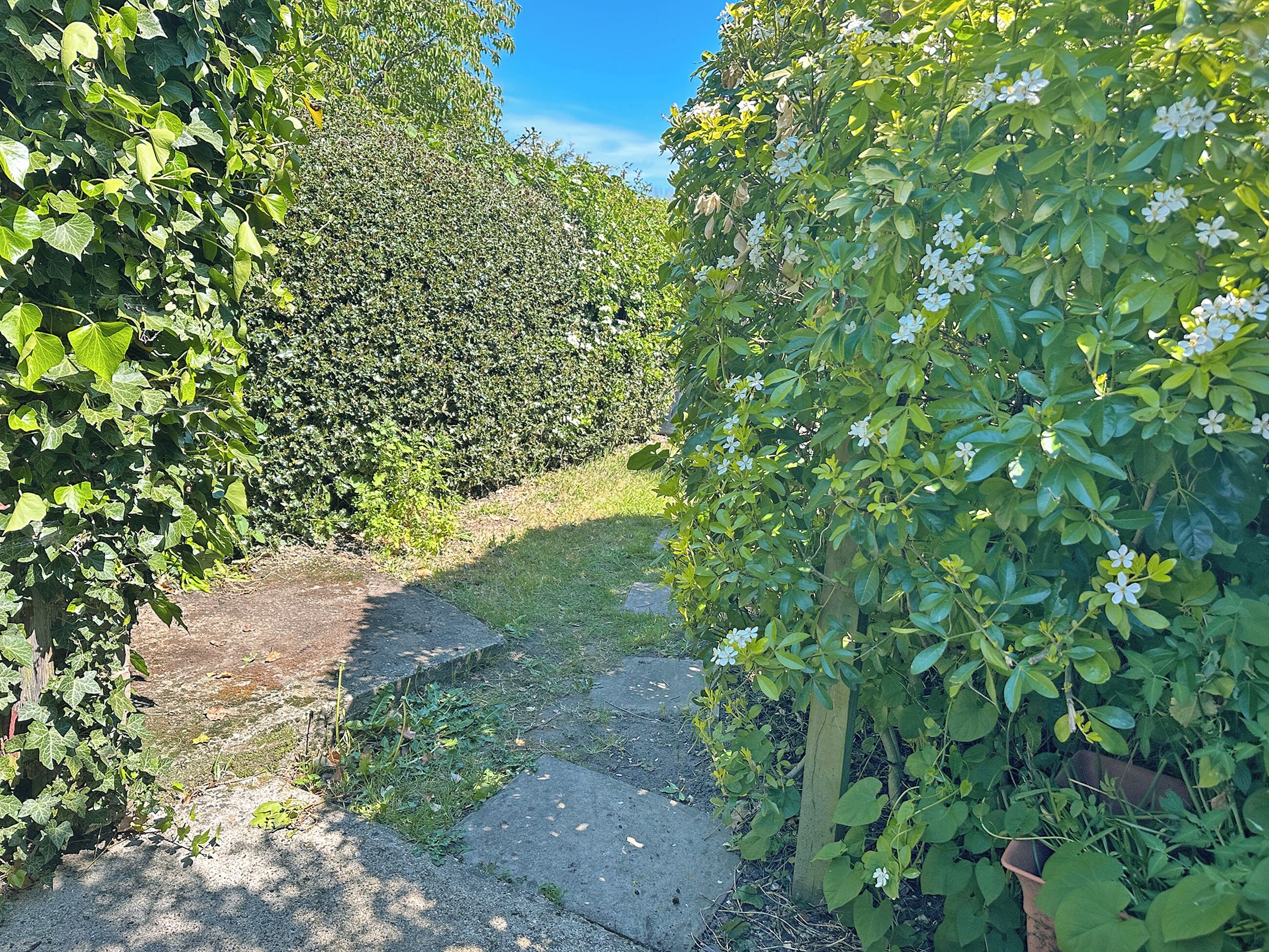 Un sentier bordé d’une végétation luxuriante et d’une haie.