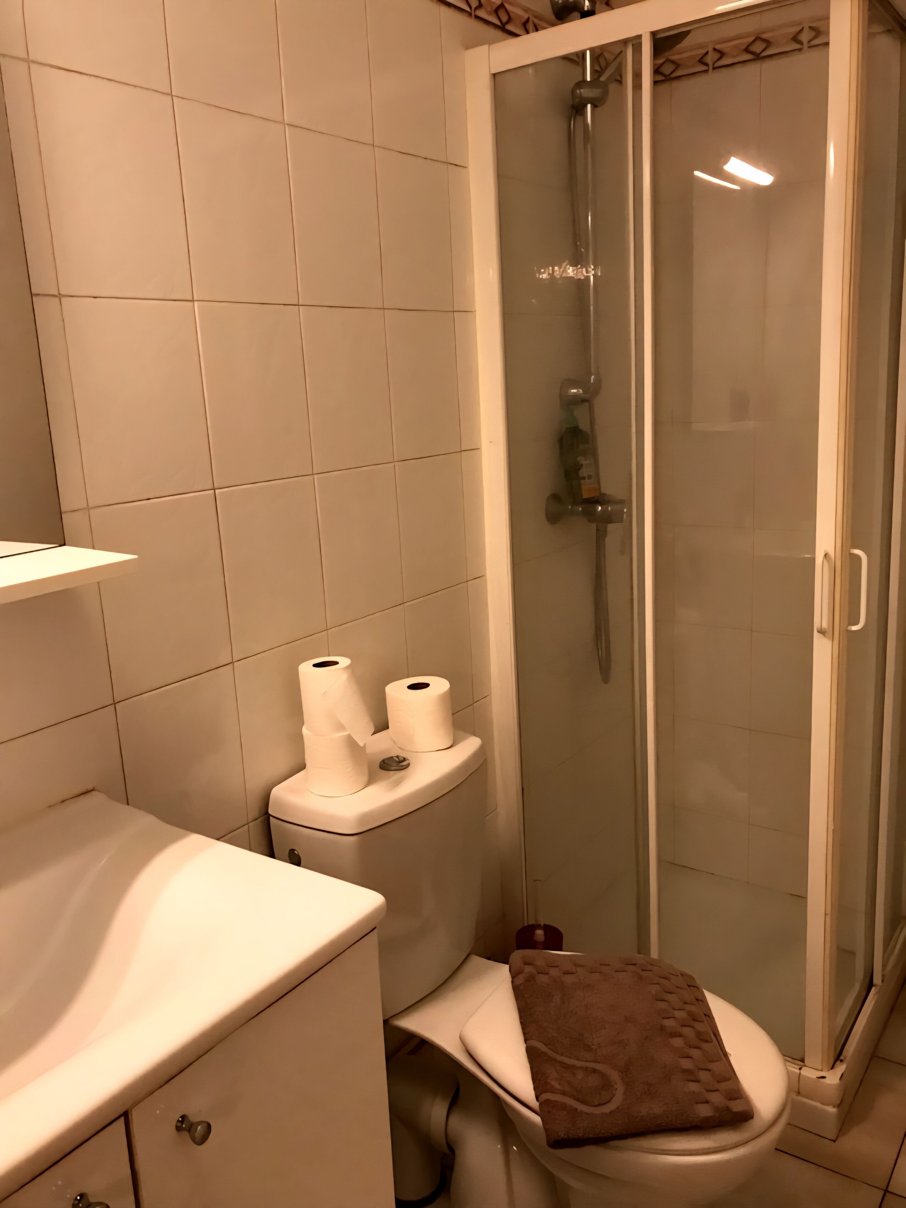 Dusche, Handtücher, Seife, Toilettenpapier