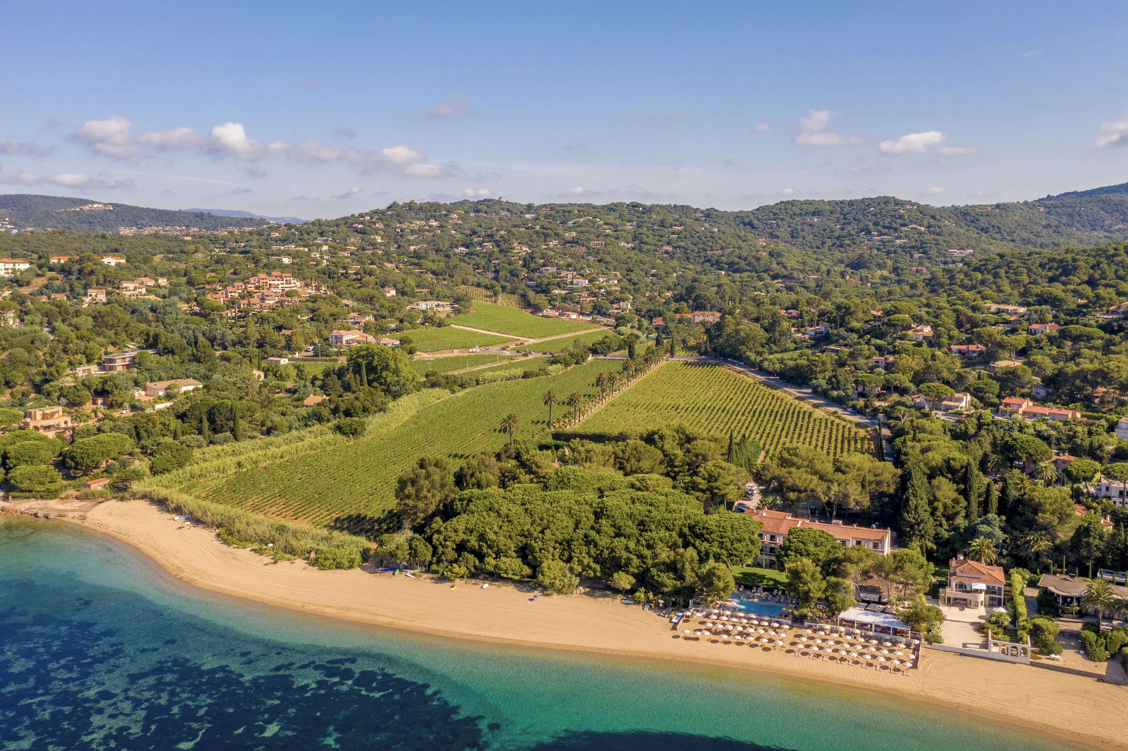 An aerial view of a coastal area with a beach, vineyards, and residential buildings.