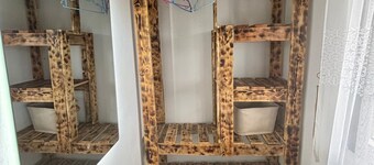 Baz-Art Eco Guest House