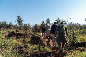 Safari - Jaci's Private Lodge (Madikwe Game Reserve)