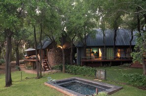 Luxury Villa, Park View | In-room safe, desk, free WiFi - Jaci's Private Lodge (Madikwe Game Reserve)