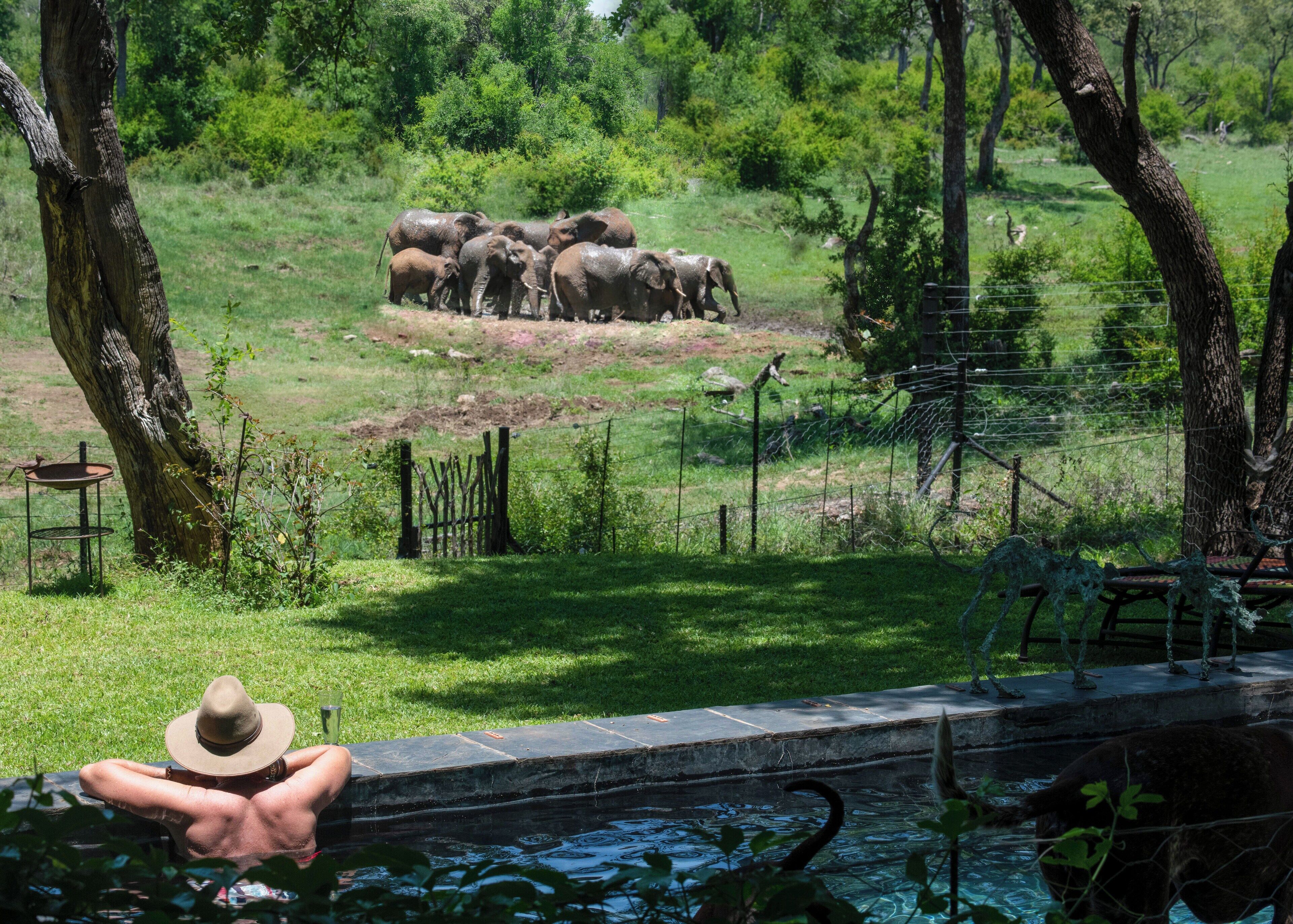 奢华别墅, 公园景观 | 客房内保险箱、办公桌、免费 WiFi