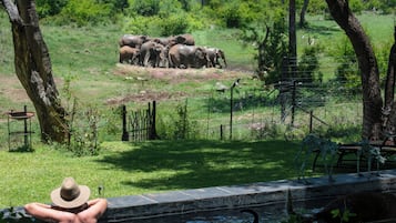 Villa de lujo, vista al parque | Caja de seguridad en la habitación, escritorio y wifi gratis