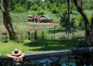 Luxury Villa, Park View | In-room safe, desk, free WiFi - Jaci's Private Lodge (Madikwe Game Reserve)