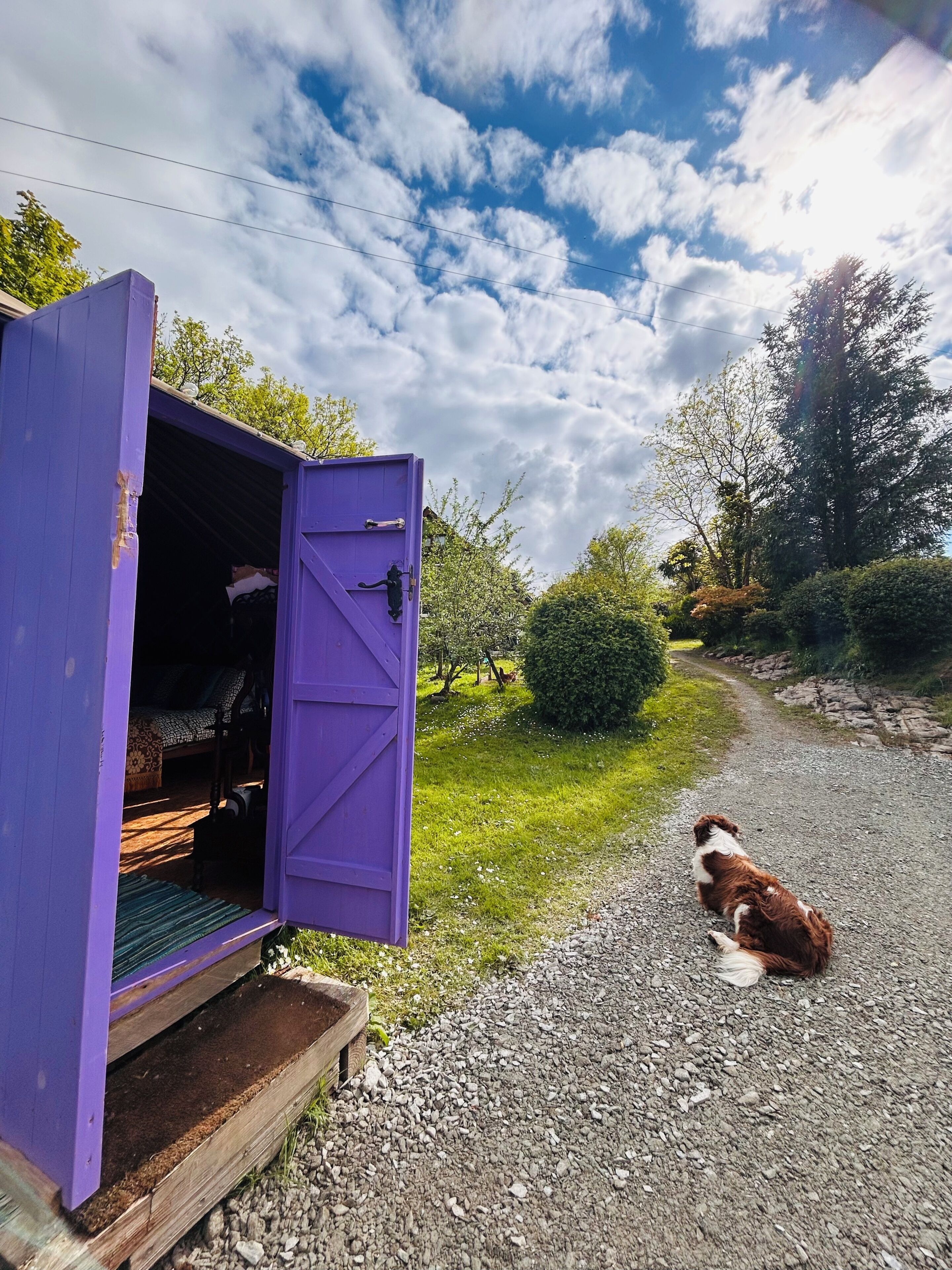 Room, 1 Bedroom, Smoking, Terrace | Property grounds