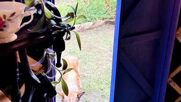 Room, 1 Bedroom, Smoking, Terrace | Interior