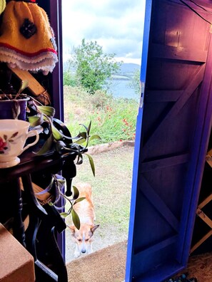 Habitación, 1 habitación, para fumadores, Terraza | Interior